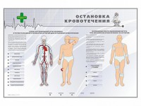 Электрифицированный стенд "Остановка кровотечения" - fgospostavki.ru - Петропавловск-Камчатский