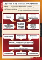 Комплект таблиц. ОБЖ. Здоровый образ жизни. - fgospostavki.ru - Петропавловск-Камчатский