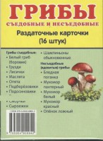 Раздаточные карточки "Грибы съедобные и не съедобные" - fgospostavki.ru - Петропавловск-Камчатский