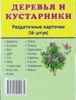 Раздаточные карточки "Деревья и кустарники" - fgospostavki.ru - Петропавловск-Камчатский