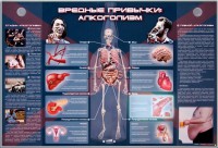 Электрифицированный стенд "Вредные привычки: алкоголизм" - fgospostavki.ru - Петропавловск-Камчатский