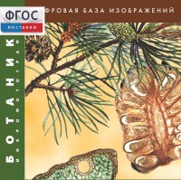 Ботаника. Микрофотографии. (Цифровая база изображений) - fgospostavki.ru - Петропавловск-Камчатский