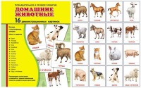 Демонстрационные карточки "Домашние животные" - fgospostavki.ru - Петропавловск-Камчатский