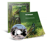 Электронное наглядное пособие «Птицы» - fgospostavki.ru - Петропавловск-Камчатский