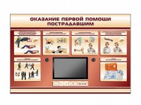 Многофункциональный интерактивный стенд-тренажер "Оказание первой помощи пострадавшим" для учащихся общеобразовательных учреждений - fgospostavki.ru - Петропавловск-Камчатский