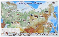 Магнитные карточки "Животные" - fgospostavki.ru - Петропавловск-Камчатский