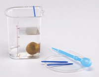 Сосуд Архимеда - fgospostavki.ru - Петропавловск-Камчатский