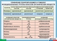 Таблица. Сравнение понятий изомер и гомолог. Функциональные группы классов органических веществ. - fgospostavki.ru - Петропавловск-Камчатский