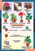 Комплект таблиц. Окружающий мир 1 класс. - fgospostavki.ru - Петропавловск-Камчатский