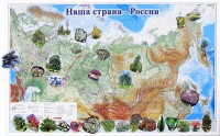Магнитные карточки "Растения" - fgospostavki.ru - Петропавловск-Камчатский
