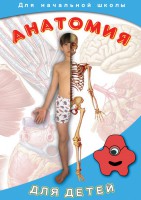 DVD "Анатомия для детей" - fgospostavki.ru - Петропавловск-Камчатский