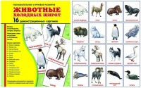 Демонстрационные карточки "Животные холодных широт" - fgospostavki.ru - Петропавловск-Камчатский