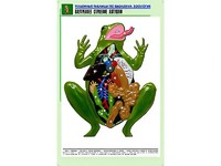 Рельефная таблица "Внутреннее строение лягушки" (формат А1, матовое ламинирование) - fgospostavki.ru - Петропавловск-Камчатский