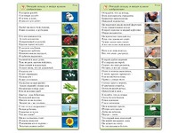 Комплект карточек (10) "Обучающий калейдоскоп. Природа" - fgospostavki.ru - Петропавловск-Камчатский