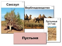 Модель-аппликация "Природные зоны России" (ламинированная) - fgospostavki.ru - Петропавловск-Камчатский