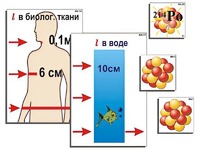 Модель-аппликация "Явление радиоактивности" (ламинированная) - fgospostavki.ru - Петропавловск-Камчатский