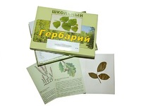 Гербарий "Дикорастущие растения" (30 видов, с иллюстрациями) - fgospostavki.ru - Петропавловск-Камчатский