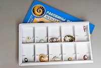 Коллекция "Раковины моллюсков" - fgospostavki.ru - Петропавловск-Камчатский
