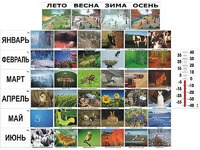 Фенологические наблюдения - fgospostavki.ru - Петропавловск-Камчатский