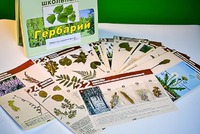 Гербарий к курсу основ общей биологии - fgospostavki.ru - Петропавловск-Камчатский