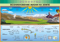 Таблица "Возникновение жизни на земле" (100х140 сантиметров, винил) - fgospostavki.ru - Петропавловск-Камчатский