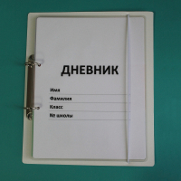 Дневник школьника (с полным набором карточек) - fgospostavki.ru - Петропавловск-Камчатский