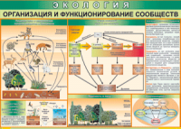 Таблица "Организация и функционирование сообществ" (100х140 сантиметров, винил) - fgospostavki.ru - Петропавловск-Камчатский