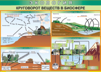 Таблица "Круговорот веществ в биосфере" (100х140 сантиметров, винил) - fgospostavki.ru - Петропавловск-Камчатский