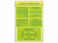 Стенды "Схемы по экономике" - fgospostavki.ru - Петропавловск-Камчатский