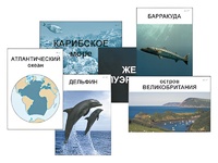 Модель-аппликация "Океаны. Знакомство" (ламинированная) - fgospostavki.ru - Петропавловск-Камчатский