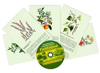 Интерактивный наглядный комплекс "Гербарий "Для начальной школы" - fgospostavki.ru - Петропавловск-Камчатский