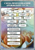 Стенд "Схема приготовления дрожжевого теста" - fgospostavki.ru - Петропавловск-Камчатский