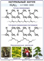 Комплект демонстрационных таблиц по химии "Полимеры" (комплект 12 таблиц) - fgospostavki.ru - Петропавловск-Камчатский