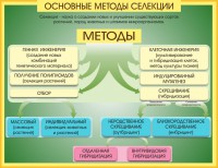 Стенд "Методы селекции и биотехнологии" - fgospostavki.ru - Петропавловск-Камчатский