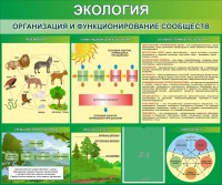 Стенд "Экология. Организация и функционирование сообществ" - fgospostavki.ru - Петропавловск-Камчатский