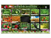Комплект оборудования "Живой уголок" (растения) - fgospostavki.ru - Петропавловск-Камчатский