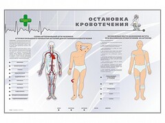 Электрифицированный стенд "Остановка кровотечения" - fgospostavki.ru - Петропавловск-Камчатский