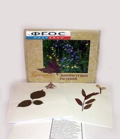 Гербарий "Дикорастущие растения" (28 видов) - fgospostavki.ru - Петропавловск-Камчатский