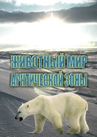 DVD "Животный мир Арктической зоны" - fgospostavki.ru - Петропавловск-Камчатский