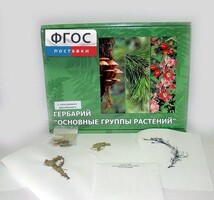 Гербарий "Основные группы растений" (52 листа) - fgospostavki.ru - Петропавловск-Камчатский