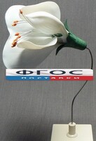 Модель "Цветок гороха" - fgospostavki.ru - Петропавловск-Камчатский
