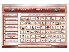Трехсекционный базовый комплект "Травмы. Кровотечения. Ожоги" для учащихся общеобразовательных учреждений - fgospostavki.ru - Петропавловск-Камчатский