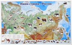 Магнитные карточки "Животные" - fgospostavki.ru - Петропавловск-Камчатский