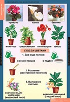 Комплект таблиц. Окружающий мир 1 класс. - fgospostavki.ru - Петропавловск-Камчатский