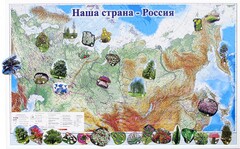 Магнитные карточки "Растения" - fgospostavki.ru - Петропавловск-Камчатский
