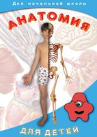 DVD "Анатомия для детей" - fgospostavki.ru - Петропавловск-Камчатский
