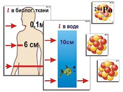 Модель-аппликация "Явление радиоактивности" (ламинированная) - fgospostavki.ru - Петропавловск-Камчатский