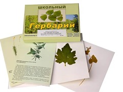 Гербарий "Систематика растений. Высшие споровые и семенные" (раздаточный) - fgospostavki.ru - Петропавловск-Камчатский