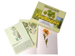 Гербарий "Систематика растений. Семейство Пасленовые. Крестоцветные. Сложноцветные" (раздаточный) - fgospostavki.ru - Петропавловск-Камчатский