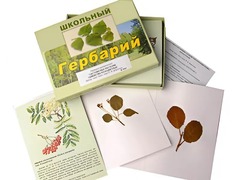 Гербарий "Систематика растений. Семейство Розоцветные" (раздаточный) - fgospostavki.ru - Петропавловск-Камчатский